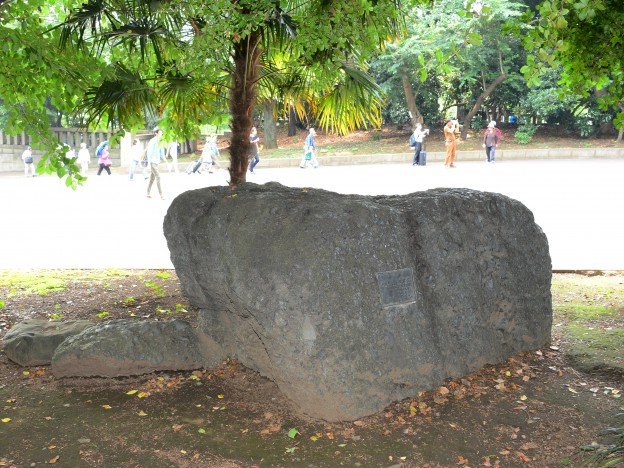 ⛩️ 미카와국 이치노미야 도가 신사 이미지 7